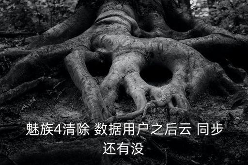  魅族4清除 數(shù)據(jù)用戶之后云 同步還有沒