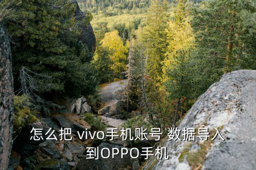 怎么把 vivo手機(jī)賬號 數(shù)據(jù)導(dǎo)入到OPPO手機(jī)