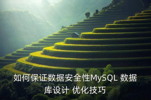 如何保證數(shù)據(jù)安全性MySQL 數(shù)據(jù)庫(kù)設(shè)計(jì) 優(yōu)化技巧