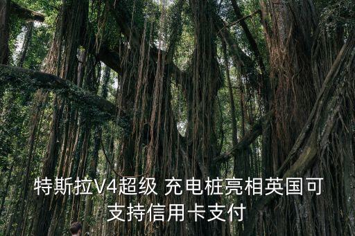  特斯拉V4超級 充電樁亮相英國可支持信用卡支付