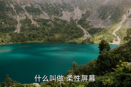 柔性顯示 機(jī)器人,柔性機(jī)器人的發(fā)展前景