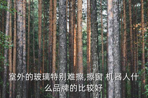 室外的玻璃特別難擦,擦窗 機(jī)器人什么品牌的比較好