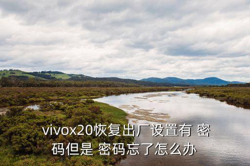  vivox20恢復(fù)出廠設(shè)置有 密碼但是 密碼忘了怎么辦