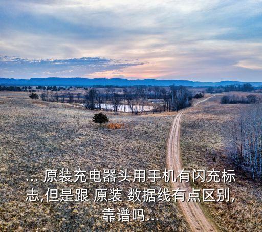 ... 原裝充電器頭用手機(jī)有閃充標(biāo)志,但是跟 原裝 數(shù)據(jù)線有點(diǎn)區(qū)別,靠譜嗎...