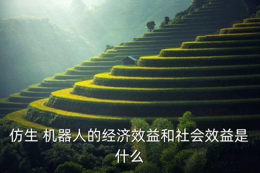 仿生 機(jī)器人的經(jīng)濟(jì)效益和社會(huì)效益是什么
