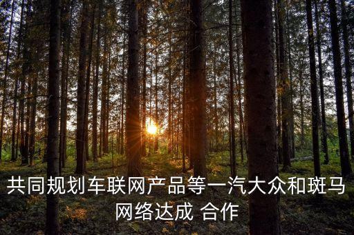 大數(shù)據(jù)顧問 合作協(xié)議,顧問合作協(xié)議合同范本