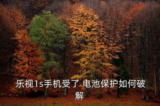樂視怎么清楚電池數(shù)據(jù),樂視2怎么換電池