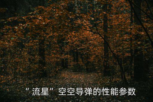 “ 流星”空空導彈的性能參數(shù)