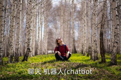 真人機(jī)器人對(duì)話,和真人一模一樣的機(jī)器人