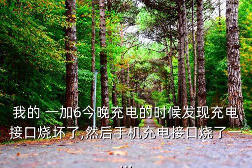 我的 一加6今晚充電的時(shí)候發(fā)現(xiàn)充電接口燒壞了,然后手機(jī)充電接口燒了一...