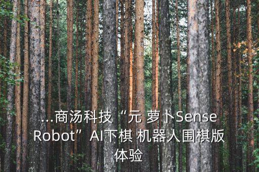 ...商湯科技“元 蘿卜SenseRobot”AI下棋 機(jī)器人圍棋版體驗(yàn)