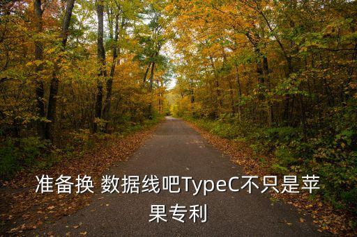 準(zhǔn)備換 數(shù)據(jù)線吧TypeC不只是蘋果專利
