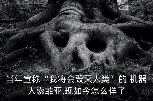 當(dāng)年宣稱“我將會(huì)毀滅人類”的 機(jī)器人索菲亞,現(xiàn)如今怎么樣了