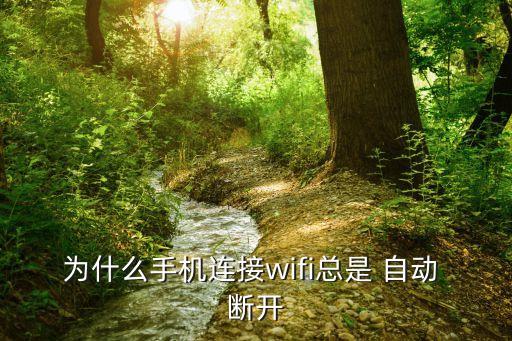 網(wǎng)絡(luò)自動斷開,手機(jī)待機(jī)為什么網(wǎng)絡(luò)自動斷開