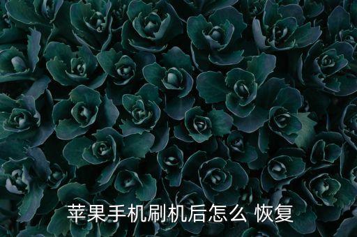  蘋果手機(jī)刷機(jī)后怎么 恢復(fù)