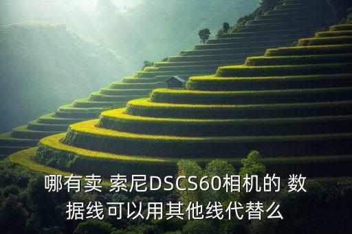 哪有賣 索尼DSCS60相機(jī)的 數(shù)據(jù)線可以用其他線代替么