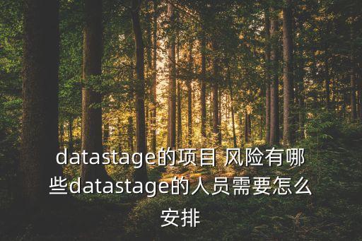 datastage的項(xiàng)目 風(fēng)險(xiǎn)有哪些datastage的人員需要怎么安排