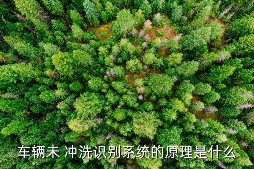 車輛未 沖洗識別系統(tǒng)的原理是什么