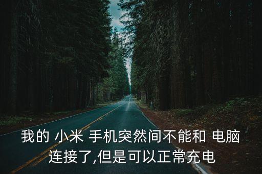 小米手機(jī)沒數(shù)據(jù)連接電腦沒反應(yīng)