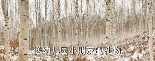 送幼兒園小朋友的禮物