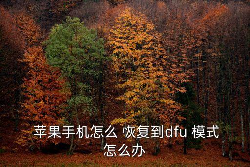 蘋果恢復(fù)模式數(shù)據(jù)