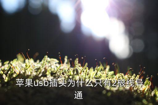 蘋果手機數(shù)據(jù)線兩根能充電嗎