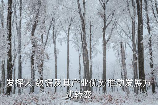 發(fā)揮大 數(shù)據(jù)及其產(chǎn)業(yè)優(yōu)勢(shì)推動(dòng)發(fā)展方式轉(zhuǎn)變