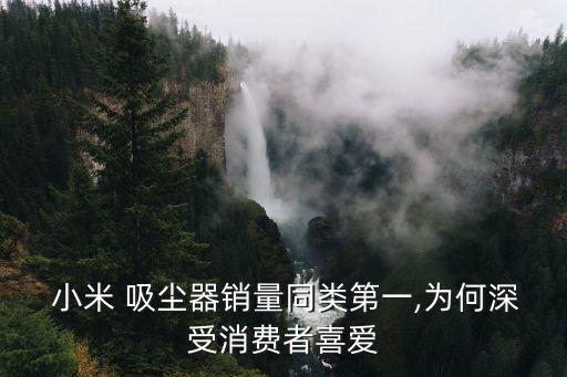 小米機(jī)器人 吸塵器