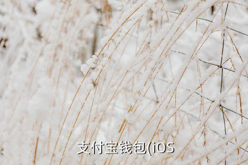  支付寶錢包(iOS