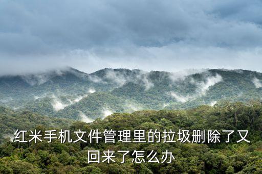  紅米手機(jī)文件管理里的拉圾刪除了又回來(lái)了怎么辦