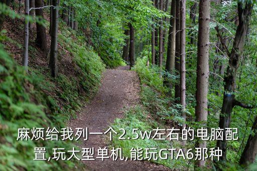 麻煩給我列一個(gè)2.5w左右的電腦配置,玩大型單機(jī),能玩GTA6那種