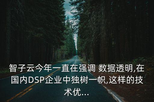 智子云今年一直在強(qiáng)調(diào) 數(shù)據(jù)透明,在國內(nèi)DSP企業(yè)中獨(dú)樹一幟,這樣的技術(shù)優(yōu)...