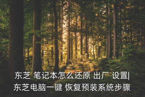 筆記本恢復(fù)出廠設(shè)置 硬盤數(shù)據(jù),raid恢復(fù)出廠設(shè)置,硬盤數(shù)據(jù)會(huì)被破壞嗎