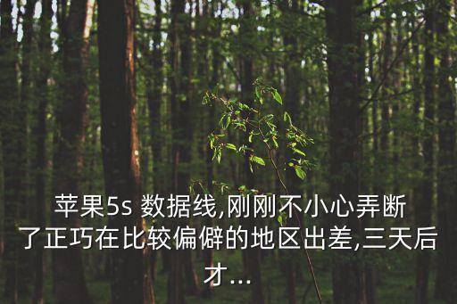  蘋果5s 數(shù)據(jù)線,剛剛不小心弄斷了正巧在比較偏僻的地區(qū)出差,三天后才...