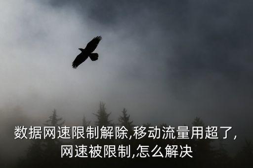 移動(dòng)數(shù)據(jù)網(wǎng)速限制解除,移動(dòng)流量用超了,網(wǎng)速被限制,怎么解決