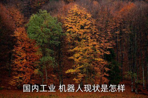 國內(nèi)工業(yè) 機(jī)器人現(xiàn)狀是怎樣