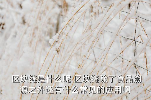  區(qū)塊鏈?zhǔn)鞘裁茨?區(qū)塊鏈除了食品溯源之外還有什么常見的應(yīng)用啊