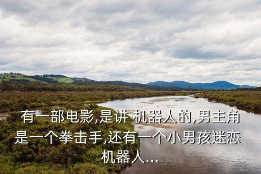 mip機器人搏斗,MIP機器人