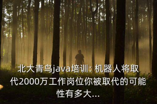 北大青鳥(niǎo)java培訓(xùn): 機(jī)器人將取代2000萬(wàn)工作崗位你被取代的可能性有多大...