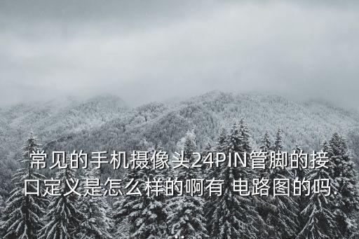 常見的手機攝像頭24PIN管腳的接口定義是怎么樣的啊有 電路圖的嗎...