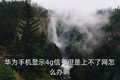 數(shù)據(jù)上不了怎么辦,大數(shù)據(jù)不通過怎么辦