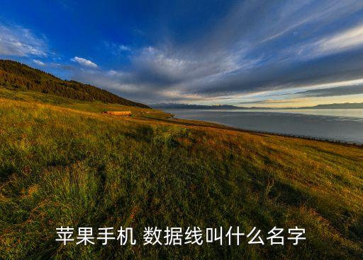 蘋果手機(jī) 數(shù)據(jù)線叫什么名字