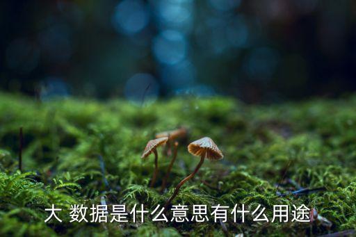 大數(shù)據(jù)相關(guān)名詞,數(shù)據(jù)是可數(shù)名詞嗎
