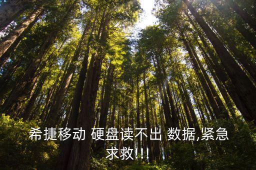  希捷移動(dòng) 硬盤讀不出 數(shù)據(jù),緊急求救!!!