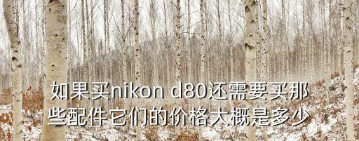 如果買nikon d80還需要買那些配件它們的價格大概是多少