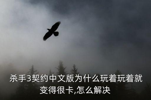  殺手3契約中文版為什么玩著玩著就變得很卡,怎么解決