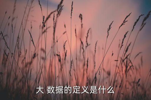 大 數(shù)據(jù)的定義是什么