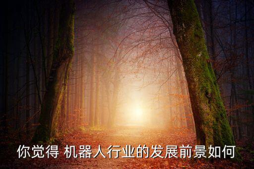你覺得 機(jī)器人行業(yè)的發(fā)展前景如何