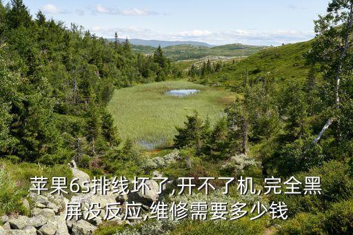 蘋果6s排線壞了,開不了機,完全黑屏沒反應,維修需要多少錢