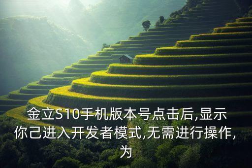 金立s10原裝數(shù)據(jù)線,三星s10原裝數(shù)據(jù)線多長